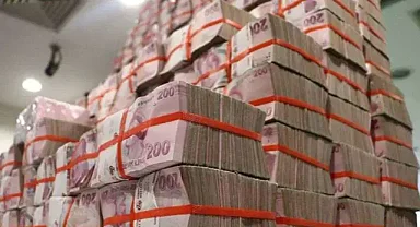 Hazine düzenlediği tahvil ihalesinde yaklaşık 15,5 milyar lira borçlandı