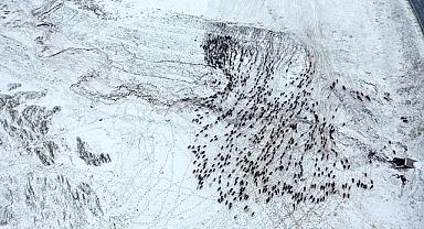 Kars'ta yayladan dönen göçerler kar yağışına yakalandı