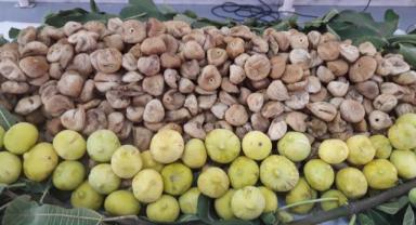 Kuru incirde ihracatında 369 milyon dolarlık tarihi rekor 