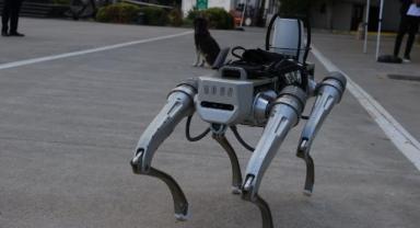 Milli robot köpek 2026 başında göreve hazır olacak