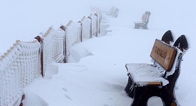 Muş'ta kar ve sis etkili oldu