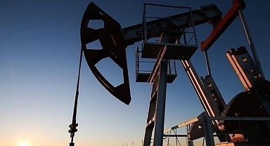 Rusya: Hindistan'a petrol arzımız yüksek seviyede seyrediyor