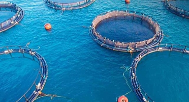 Su ürünleri yetiştirici örgütlerine üye olanlardan yapılan kesintide değişikliğe gidildi