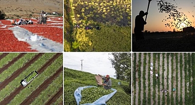 Tarım sayımına katılan çiftçi sayısı 2,7 milyonu aştı