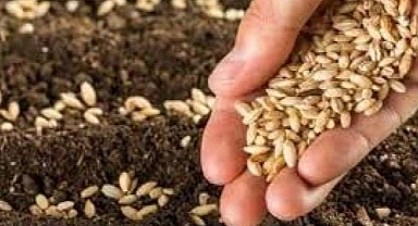 Tarım ve Orman Bakanlığı kontrolüne tabi bazı ürünlerin ülkeye girişine ilişkin düzenleme yapıldı