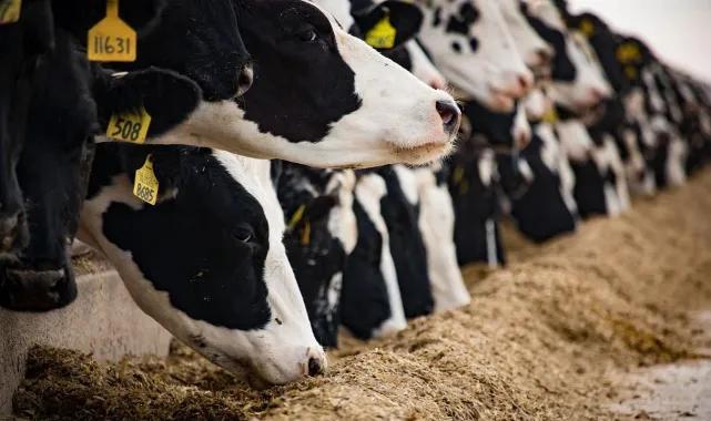 TİGEM 14 aylığına bitkisel üretim ve hayvancılık işçiliği hizmeti alacak -  TARIM - Ekonomi Dünya Dergisi