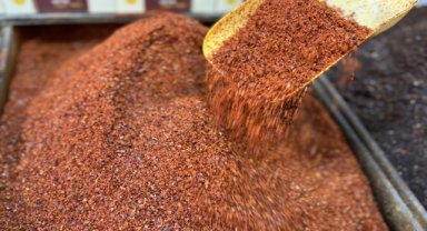 Türkiye'den pul biber ihracatı yılın 9 ayında yüzde 4 arttı