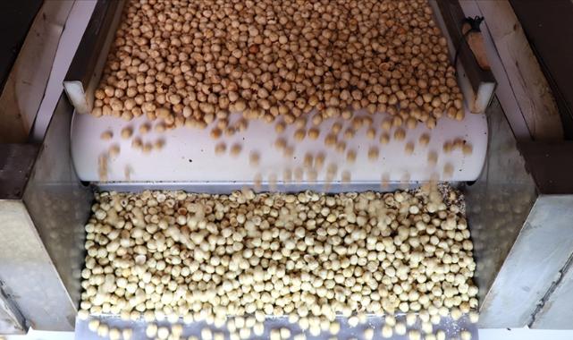 Türkiye fındık ihracatından 9 ayda 1,6 milyar doları aşkın gelir sağladı