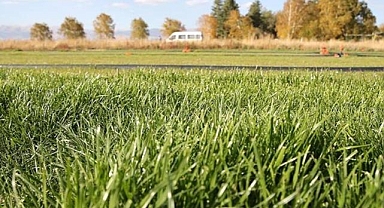 Üniversiteler tarım alanındaki yenilikçi projelerini HAYTEKFEST'te tanıtacak