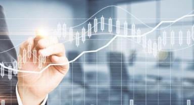 Yatırımcı rehberi (4)