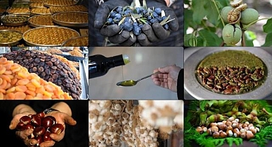 AB tescili, Türk ürünlerinin küresel pazarda görünürlüğünü artırıyor