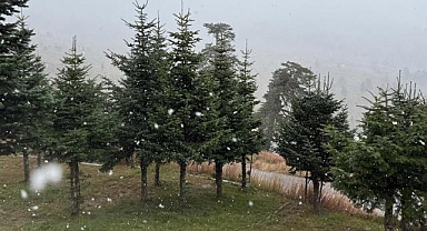 Bolu'nun yüksek kesimlerine kar yağdı