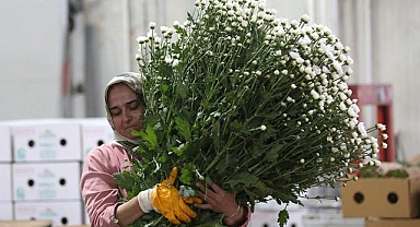 Çiçek sektörü ihracatta rekora koşuyor