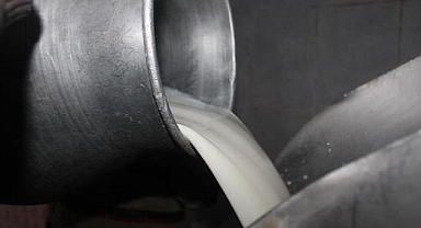 Çiğ inek sütünün