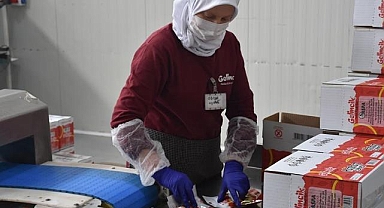 Devlet desteğiyle üretim kapasitesini artıran şirket, leblebi kremasını yurt dışına gönderiyor