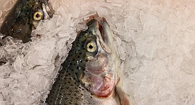 Doğu Karadeniz'in 10 aylık Türk somonu ihracatı 152 milyon doları aştı