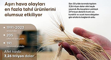 Aşırı hava olayları en fazla tahıl ürünlerini olumsuz etkiliyor