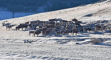 Kars'ta soğuk hava etkisini sürdürüyor