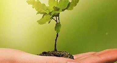 Küresel enerji verimliliğindeki ilerleme bu yıl hız kazandı