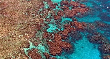 Küresel ısınma 2 derecenin altında tutulursa, Büyük Set Resifi'nin bir kısmı 