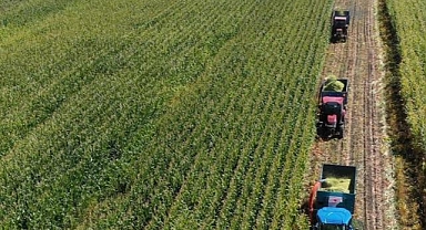 Malavi gıda krizi nedeniyle mısır ihracatını yasakladı