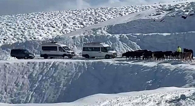 Muş'ta 14 köy yolu ulaşıma kapandı
