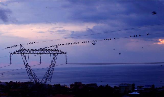 Spot piyasada elektrik fiyatları