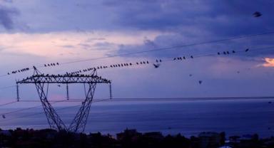 Spot piyasada elektrik fiyatları