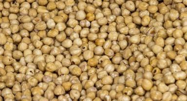 Ticaret borsalarında sezonun ilk iki ayında 90 bin tonu aşkın fındık işlem gördü