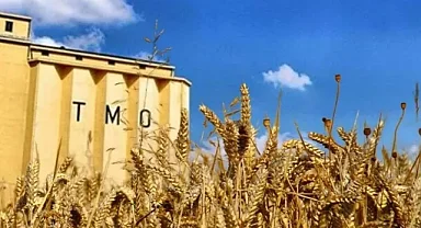 TMO'nun 2026'da 3,5 milyon ton buğday, 1,5 milyon ton mısır alması öngörülüyor