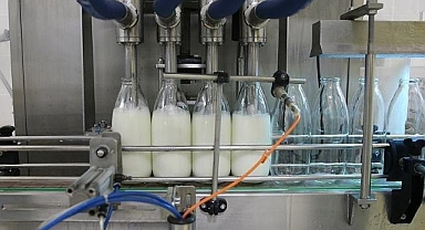 Toplanan inek sütü miktarı eylülde 892 bin 886 ton oldu