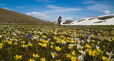 Türkiye'nin bitki bazlı gıdalardaki potansiyeli artıyor