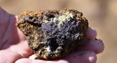 Uluslararası Enerji Ajansı Başkanı Birol: