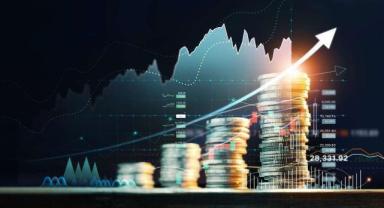 Yatırımcı rehberi (1)