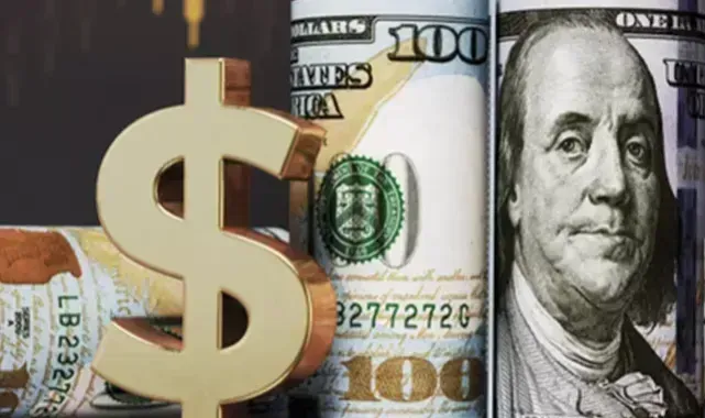 Yatırımcı rehberi (2)