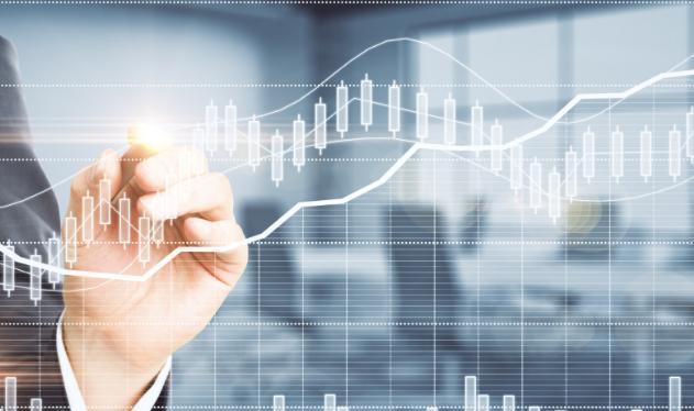 Yatırımcı rehberi (4)