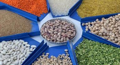 Yeşil mercimek ve yulaf ithalatında gümrük vergileri düşürüldü