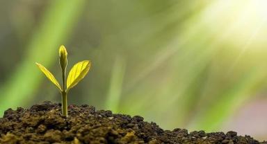 2025 Türkiye’de Çevrenin Yılı Oldu: İklim Alarmı, Yeşil Adımlar