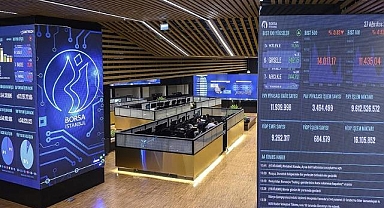 BIST 30'da işlem gören şirketlerin 2024 