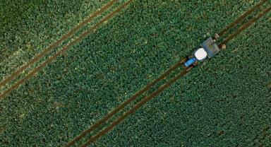 Çiftçilere 1 milyar 46 milyon lira tarımsal destekleme ödemesi bugün yapılacak