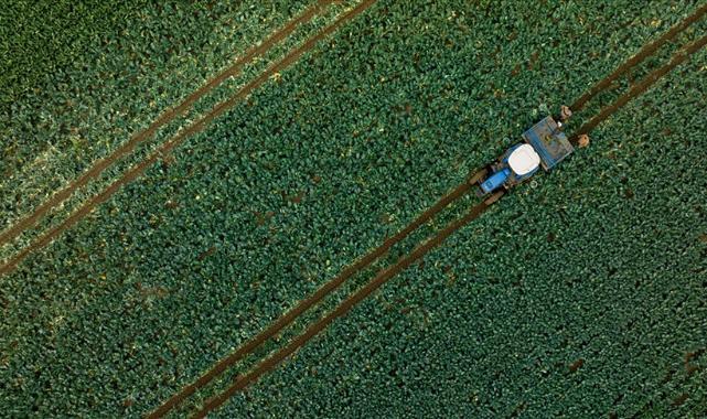 Çiftçilere 1 milyar 46 milyon lira tarımsal destekleme ödemesi bugün yapılacak