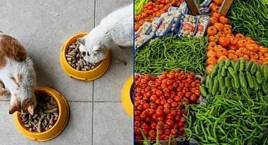 Kasımda fiyatı en çok artan evcil hayvanlarla ilgili ürünler, en fazla düşen taze sebzeler oldu