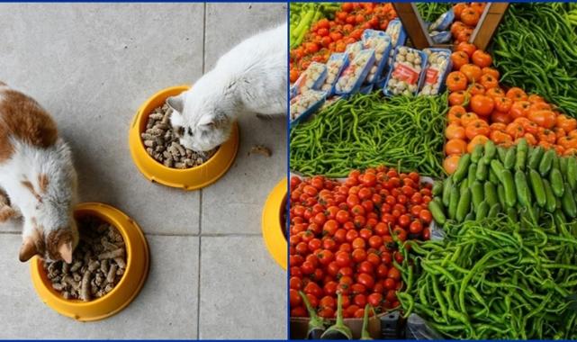 Kasımda fiyatı en çok artan evcil hayvanlarla ilgili ürünler, en fazla düşen taze sebzeler oldu