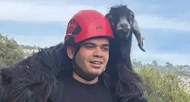 Mersin'de kayalıklarda mahsur kalan keçi kurtarıldı