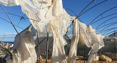 Tarım sigortaları kapsamında kasımda üreticilere 4,2 milyar lira hasar tazminatı ödendi