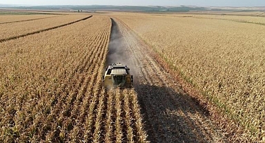 Tarım ÜFE kasımda aylık bazda yüzde 1,56 azaldı