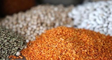 Tohum sektörü iklim değişikliğine dayalı üretime odaklandı