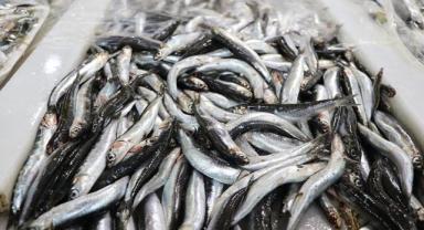 Türkiye'den 11 ayda 14,4 milyon dolarlık hamsi ihracatı yapıldı