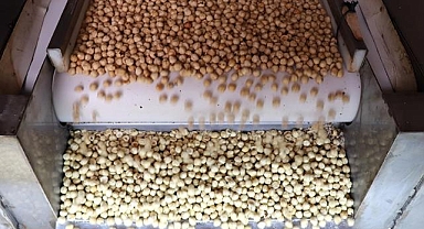 Türkiye, fındık ihracat sezonunun ilk üç ayında 547 milyon doları aşkın gelir sağladı