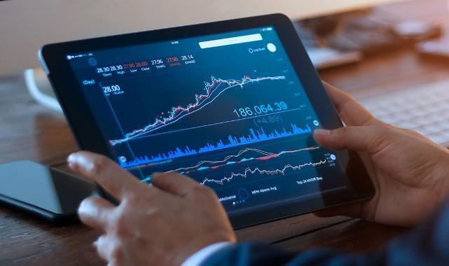 Yatırımcı rehberi (5)